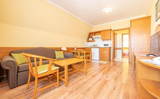 Фото отеля Holiday Club Apartman Hotel Heviz