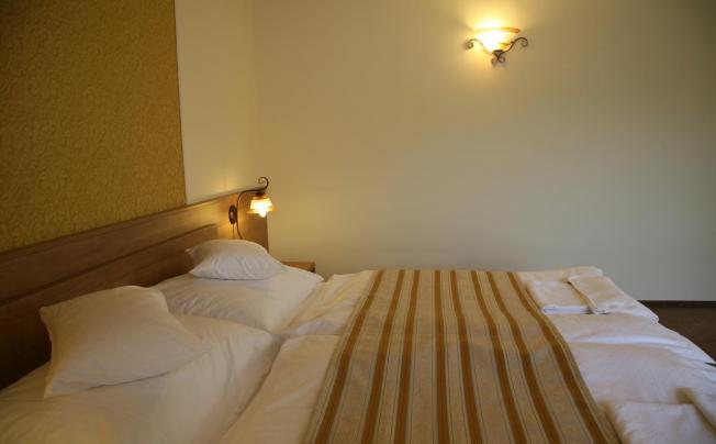 Фото отеля Baranya Hotel Harkany
