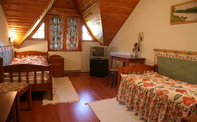 Фото отеля Baranya Hotel Harkany