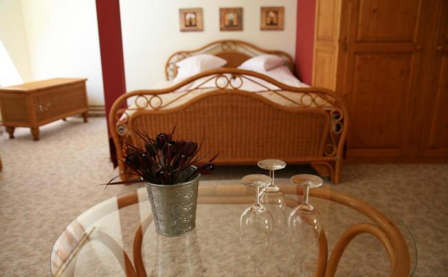 Фото отеля Baranya Hotel Harkany