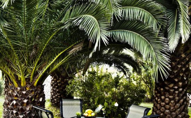Фото отеля Arco Hotel 