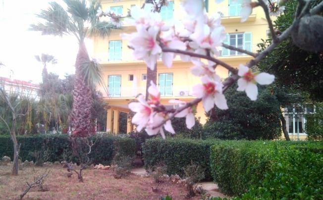 Фото отеля NIREUS HOTEL