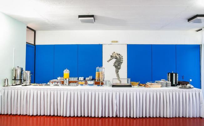 Фото отеля Hippocampus Hotel 