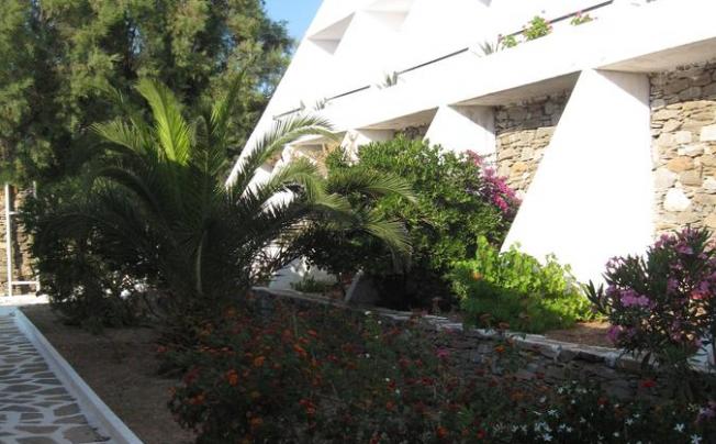 Фото отеля Hippocampus Hotel 