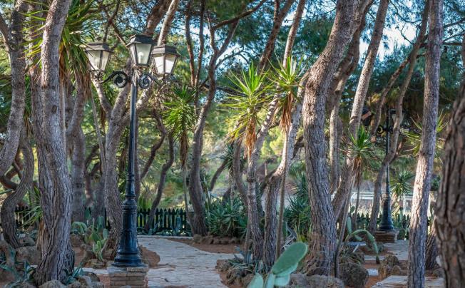 Фото отеля Vasilikos Beach Hotel 