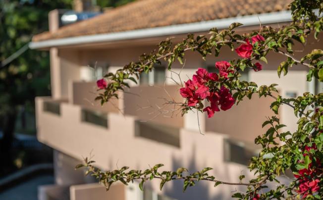 Фото отеля Vasilikos Beach Hotel 