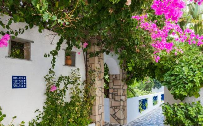 Фото отеля Ekaterini Hotel 