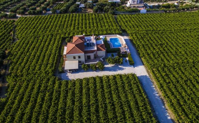 Фото отеля Vineyard Hill Villa