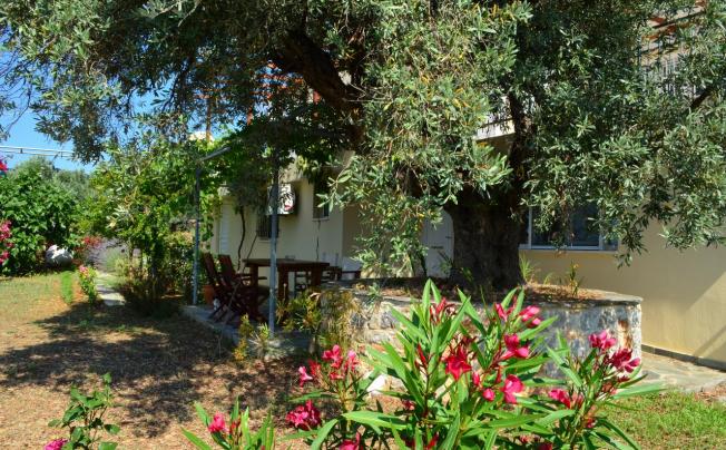 Фото отеля Villa Zoe 
