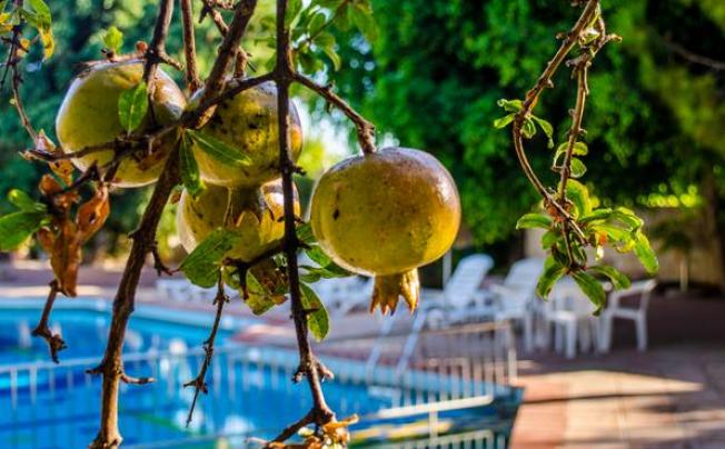 Фото отеля Your Memories Hotel