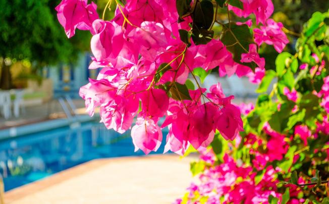 Фото отеля Your Memories Hotel