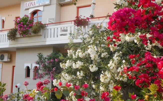 Фото отеля Ilona Apartments Chania