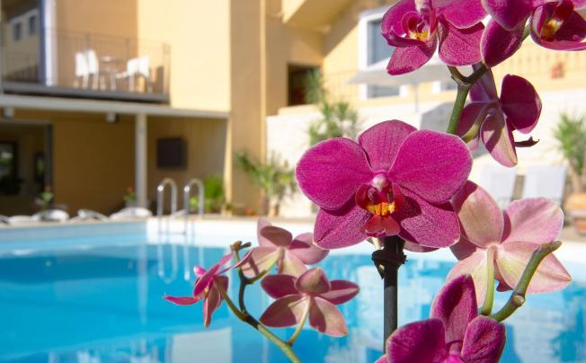Фото отеля LA STELLA APARTMENTS & SUITES