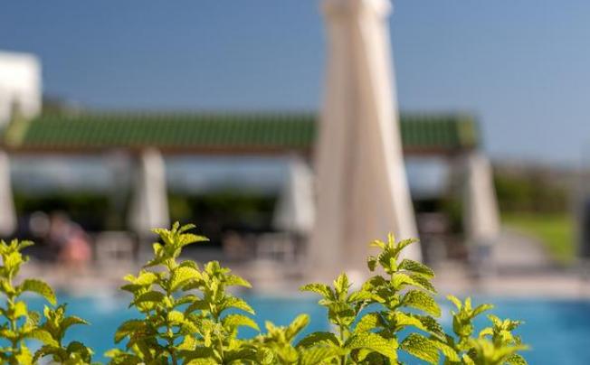 Фото отеля Apollo Beach Hotel