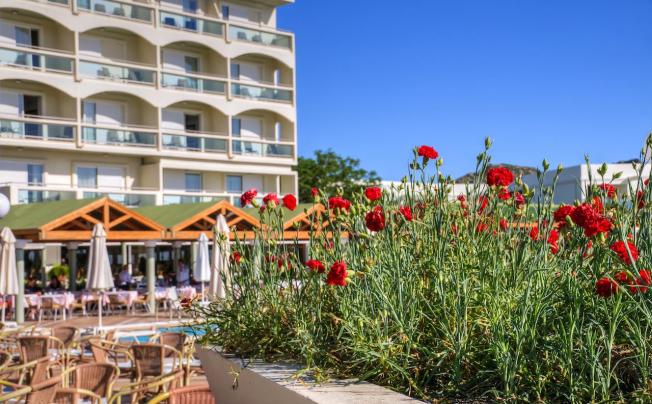 Фото отеля Apollo Beach Hotel