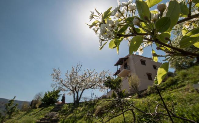 Фото отеля AORI HILLSIDE VILLA