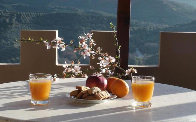 Фото отеля AORI HILLSIDE VILLA