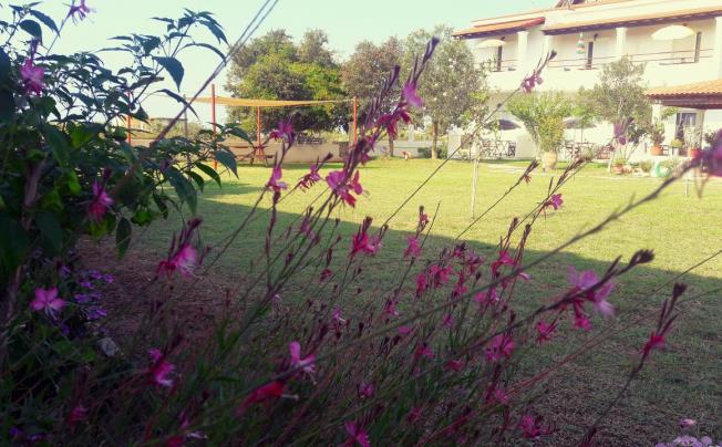 Фото отеля Voula Villa Agios georgios