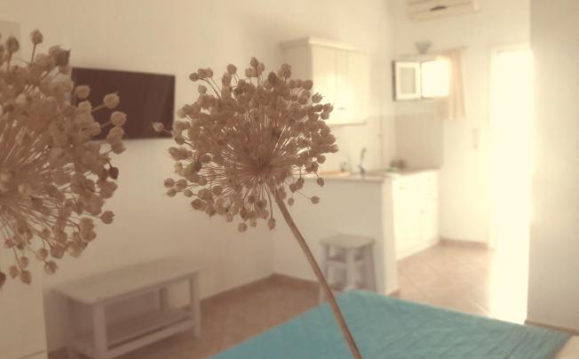 Фото отеля Voula Villa Agios georgios