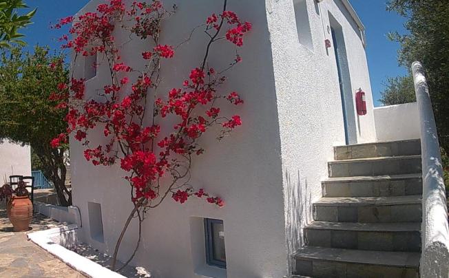 Фото отеля Palatia Village Hotel Apartments
