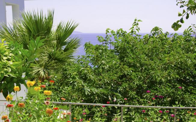 Фото отеля MARE BLU RESORT