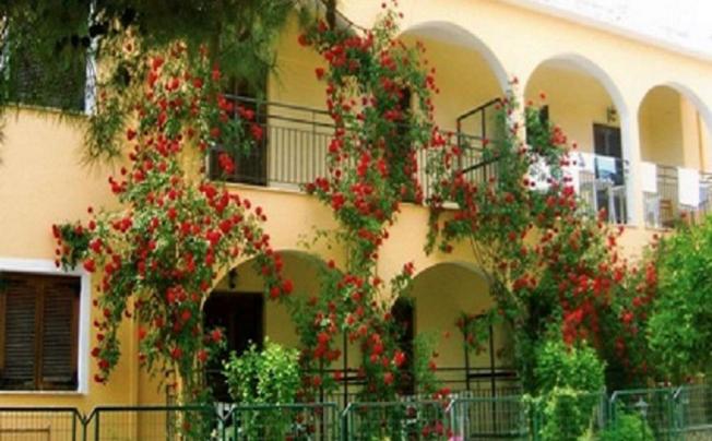 Фото отеля Roda Pearl Resort