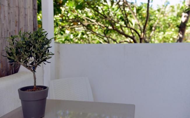 Фото отеля Floras Houses Mykonos