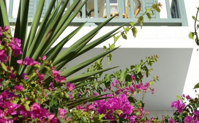Фото отеля Pelican Bay Art Hotel