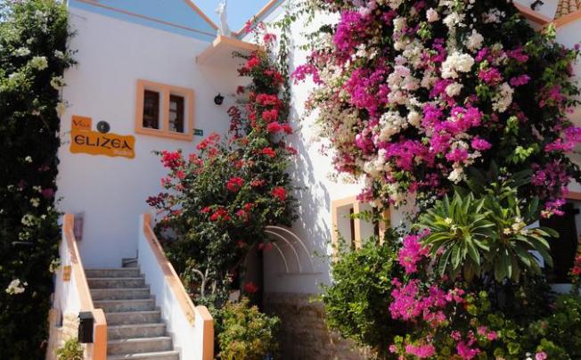 Фото отеля VILLA ELIZEA