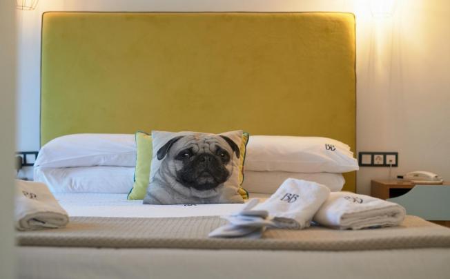 Фото отеля Blue Bottle Boutique Hotel