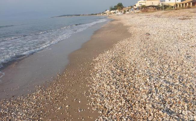 Фото отеля Salvanos Beachfront Apartments