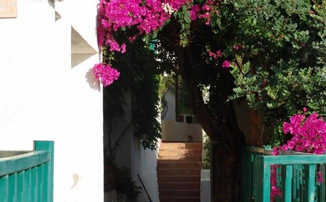 Фото отеля Kalimera Village Piskopiano