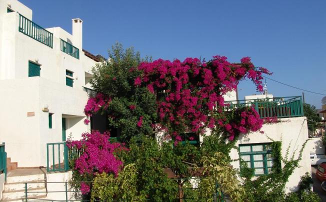 Фото отеля Kalimera Village Piskopiano