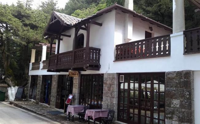 Фото отеля Elafos Hotel