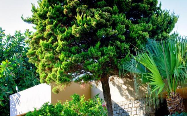 Фото отеля Sentido Sun Beach Resort