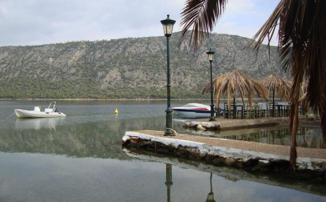 Фото отеля Mantas Bay Apartments