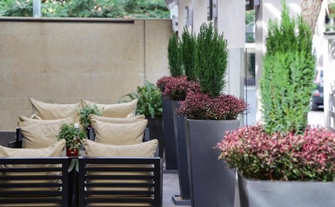 Фото отеля The Y hotel athens