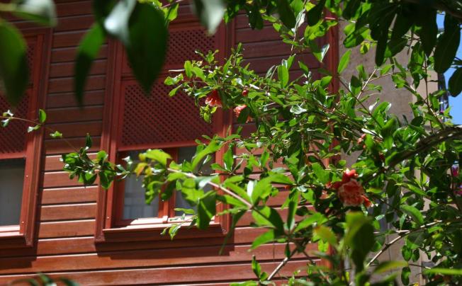 Фото отеля IONAS BOUTIQUE HOTEL