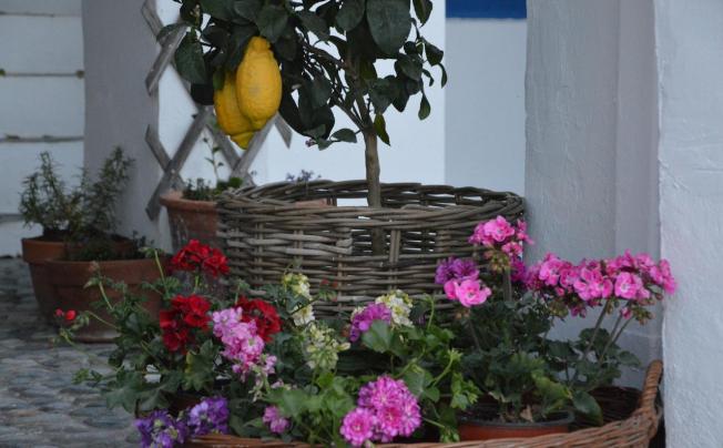 Фото отеля Porto Loutro Hotel 