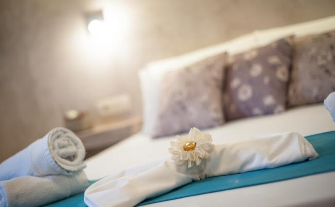 Фото отеля Zante Nest Studios & Apartments