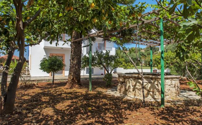 Фото отеля Ifigenia Hersonissos Apartments