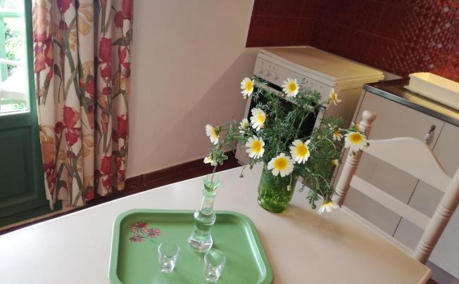 Фото отеля Bellevue Apartments Sitia