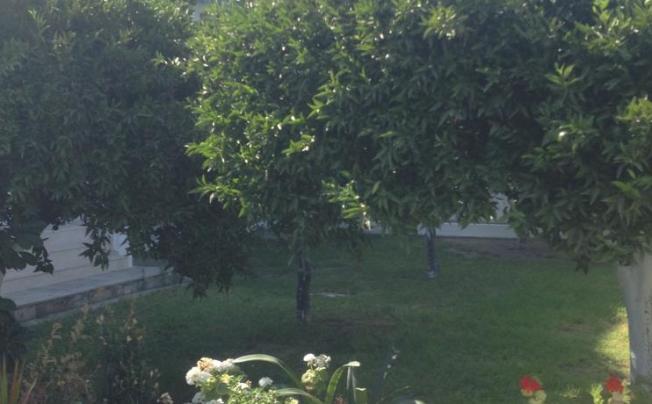 Фото отеля Manos Pension