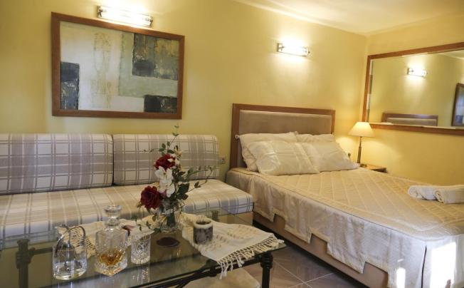 Фото отеля Forest Sani Villa