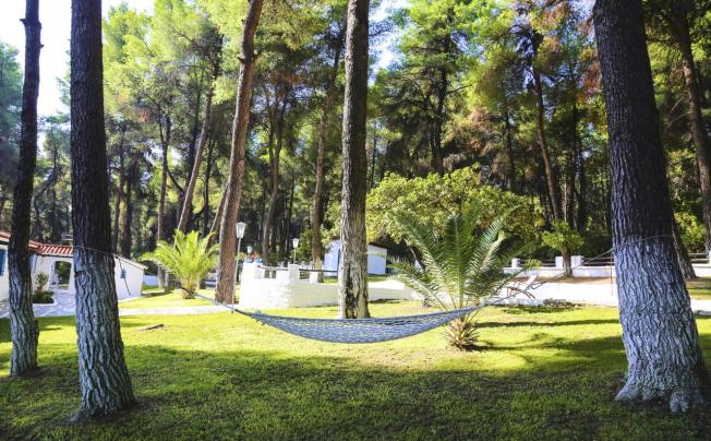 Фото отеля Forest Sani Villa