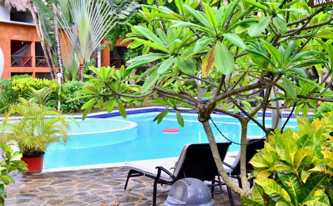 Фото отеля RESIDENCIA DEL PASEO HOTEL