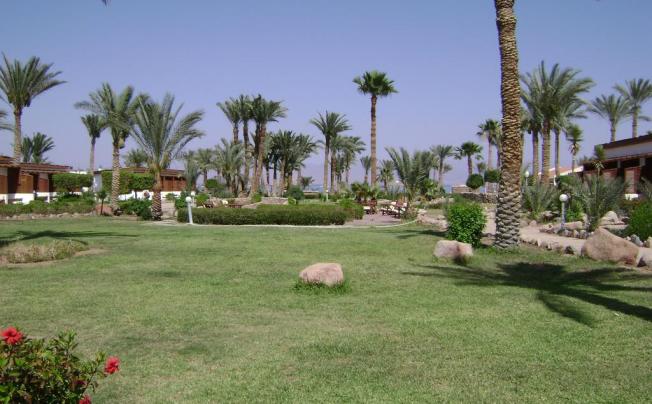 Фото отеля Nuweiba Club Resort