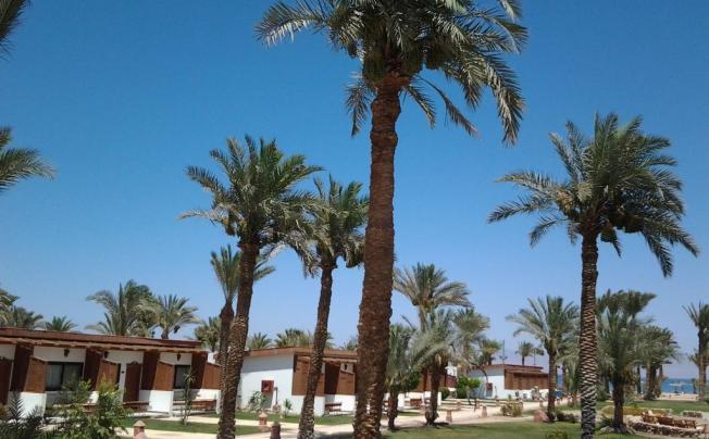 Фото отеля Nuweiba Club Resort