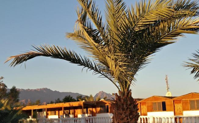 Фото отеля Seven Heaven Hotel Dahab