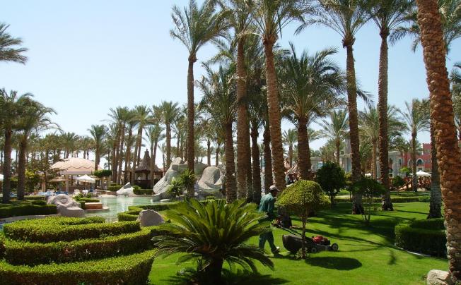 Фото отеля Azure Club Resort